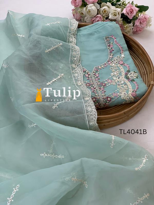 Exclusive Premium Organza Dresses - TL4041 Color image