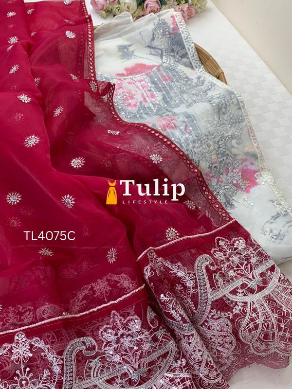 Exclusive Premium Organza Dresses - TL4075 Color image