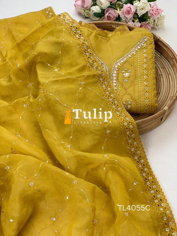 Exclusive Premium Organza Dresses - TL4055 Color image