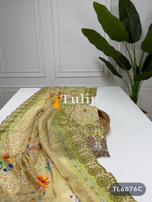 Premium Embroidered Cotton Lawn Dresses - TL6076 Color image
