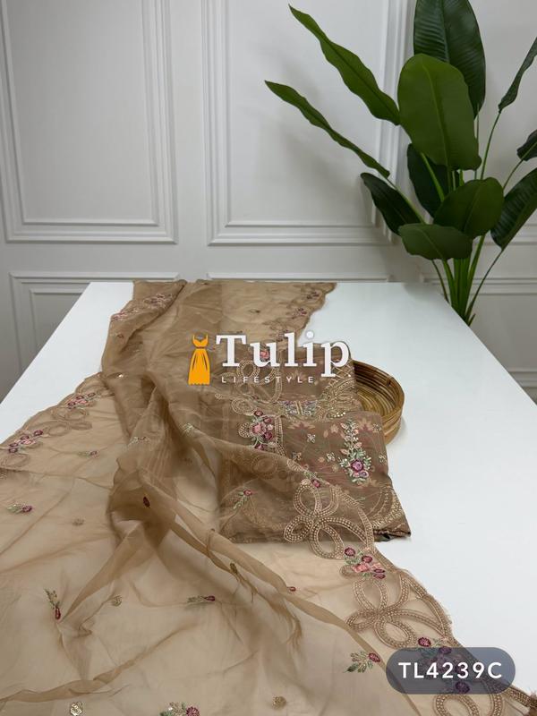 Premium Organza Dresses - TL4239 Color image